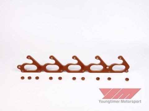Phenolic spacer for Audi 2.5 5-cylinder TFSI engine TTRS